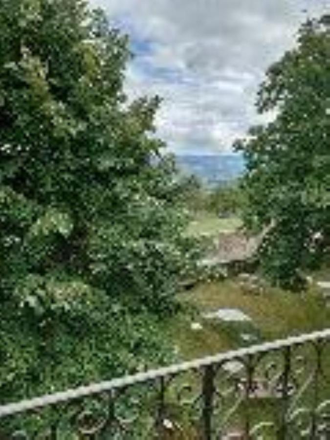 Chateau De Riverie Chambres Et Table D'Hotes Dış mekan fotoğraf